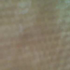 Meet your Posher, Latoya